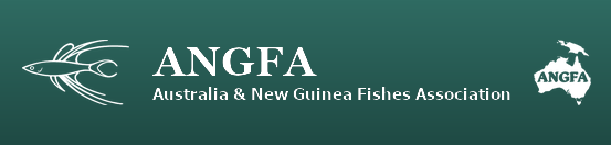 ANGFA &mdash; Australia & New Guinea Fishes Association