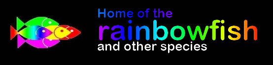 Home of the Rainbowfish