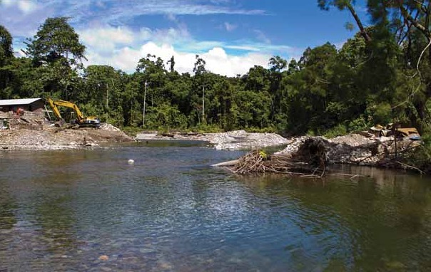 Melanotaenia bowmani